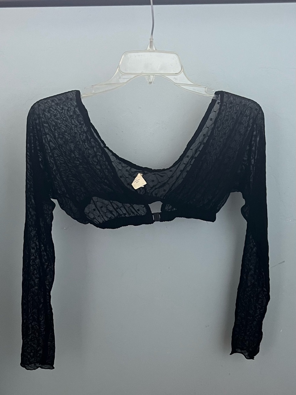 Black Sheer Long-Sleeve Crop Top - Unb